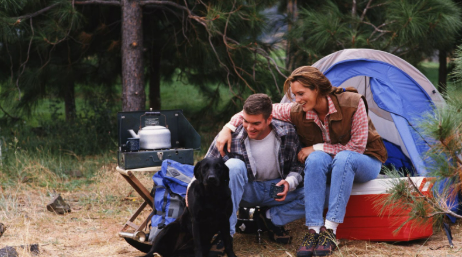 Mit Hund im Wohnmobil