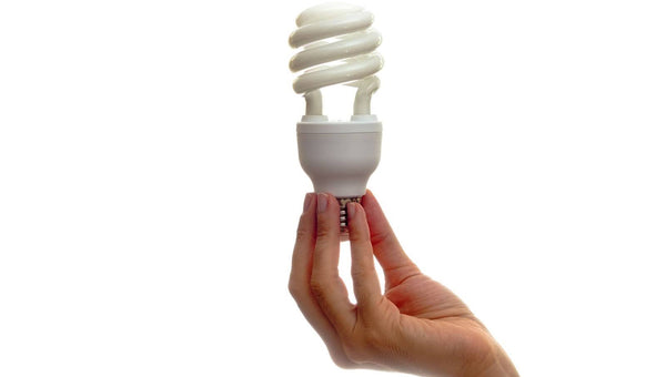 Eine Hand, die eine Glühbirne hält.