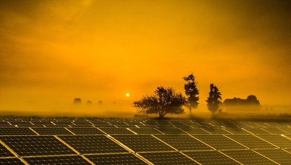 Sonnenaufgang über einem Solarpark für grüne Energie