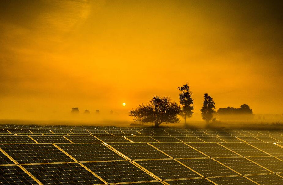 Sonnenaufgang über einem Solarpark für grüne Energie