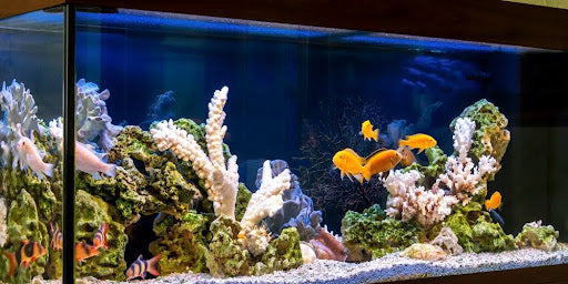 Stromverbrauch Aquarium