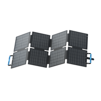BLUETTI 60 W Solarpanel Faltbar | 60 W (Nur Für Deutschland)
