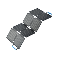 BLUETTI 60 W Solarpanel Faltbar | 60 W (Nur Für Deutschland)