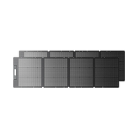 BLUETTI 200 W Tragbares Solarpanel (Nur Für Deutschland)