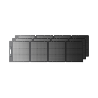BLUETTI 200 W Tragbares Solarpanel (Nur Für Deutschland)